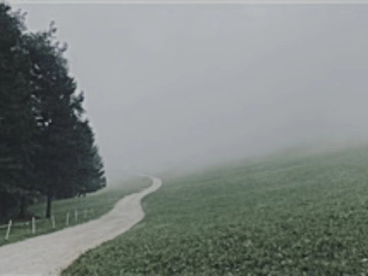 【輯一】南部山區(qū)：有時在大風(fēng)中，群山似乎在奔跑走在山間公路上/山崖在左，溪水在右/轉(zhuǎn)過兩座山，山崖到了右邊，溪水來到左邊[詳細]
