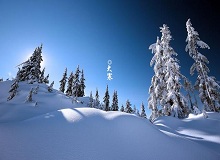 《大寒》這個時節，天短，日頭地兒就顯得格外金貴。一進臘月，過事兒的多了起來。[詳細]